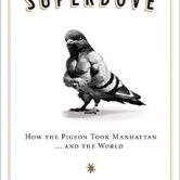 Superdove cover