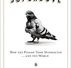 Superdove cover