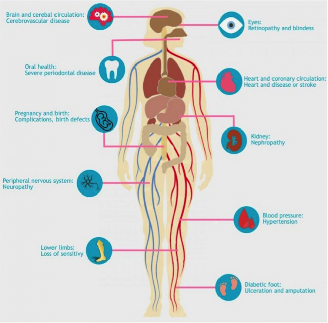 Figure 8: Diabetes’s harmful effects on the body