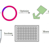 Figure 4 - Outline of experimental setup