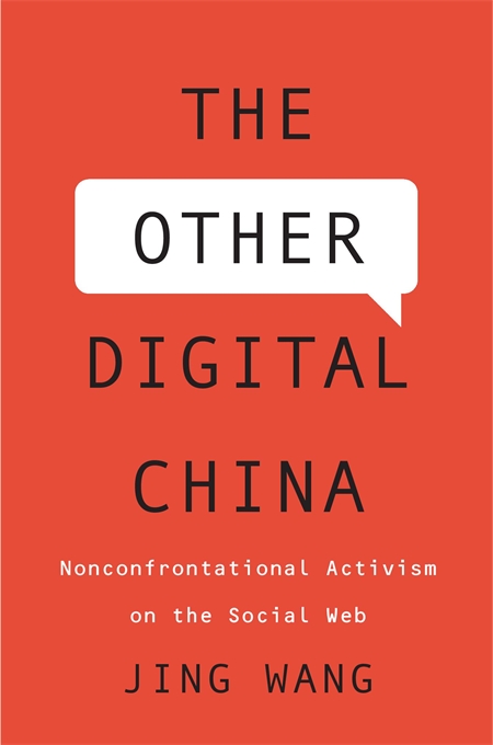 Book cover of "The Other Digital China" by Jing Wang