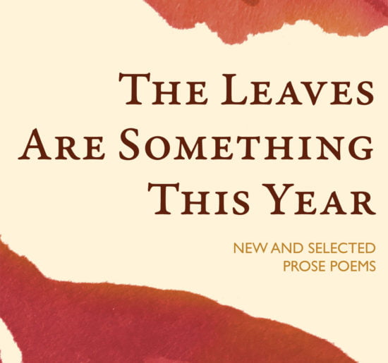 Book cover of The Leaves Are Something This Year